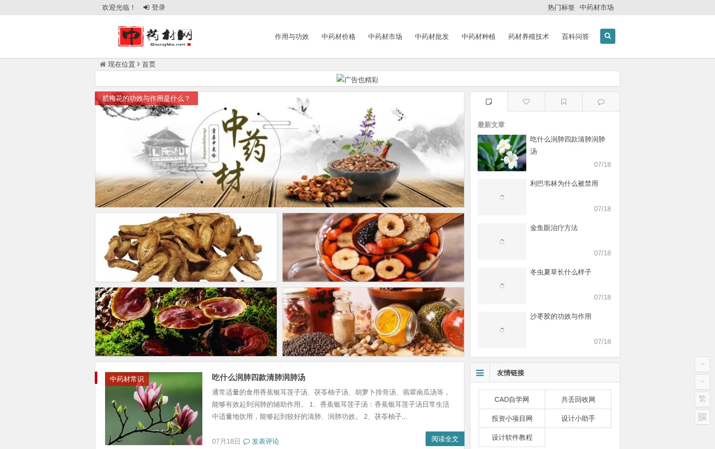 中药材网 页面快照